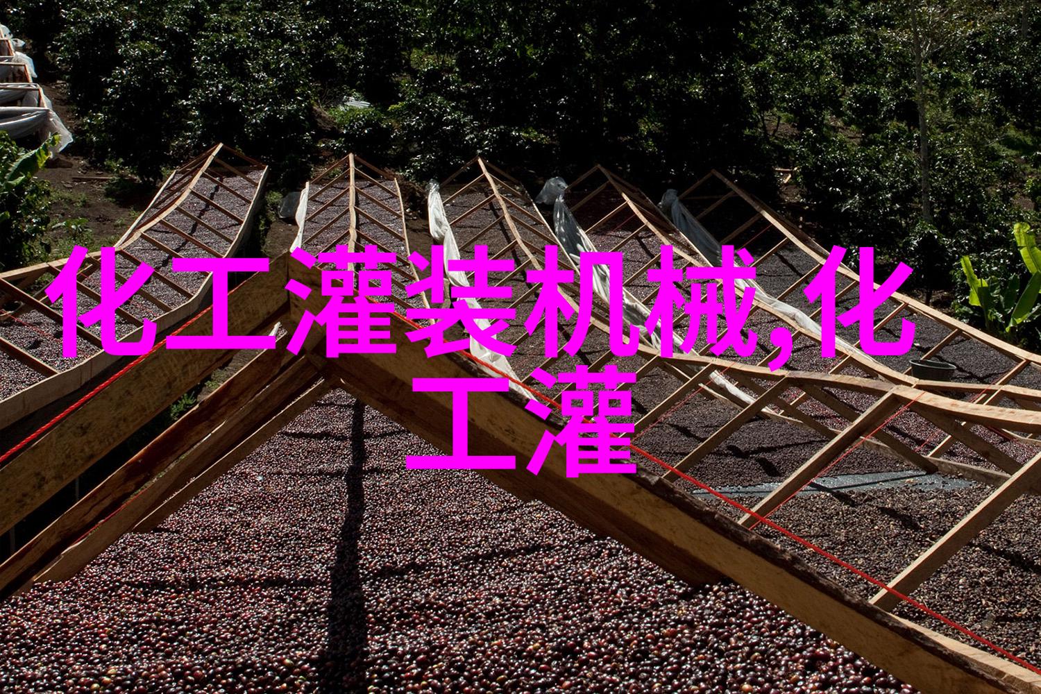 2BE液环真空泵机组