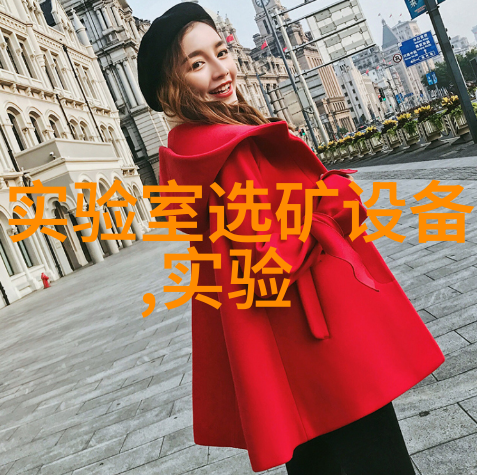 WSD-1数字温湿度计